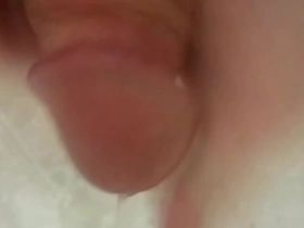 White gumshoe cumming